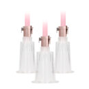Pumped Clitoral and Nipple Pump Set
