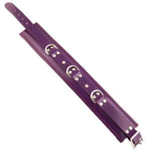 Rouge Vaatteet Purple Pehmustettu Collar