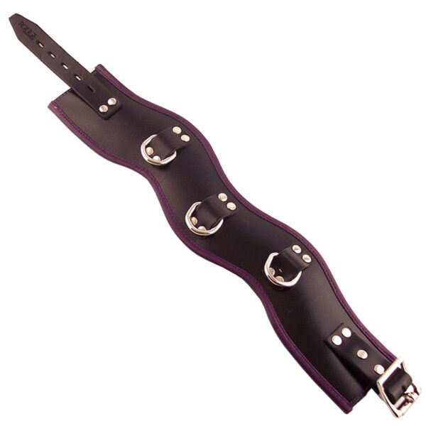 Rouge Vaatteet musta ja violetti vuoratut kupit ja asento Collar