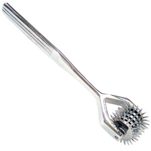 Acciaio inossidabile 5 rotelle Pin