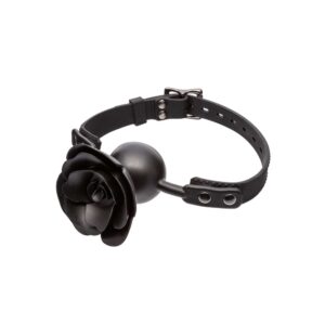CalExotics Forbidden Gag rosa rimovibile
