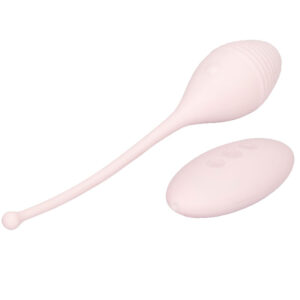 Ispira l'attrezzo ginnico vibrante a distanza di Kegel